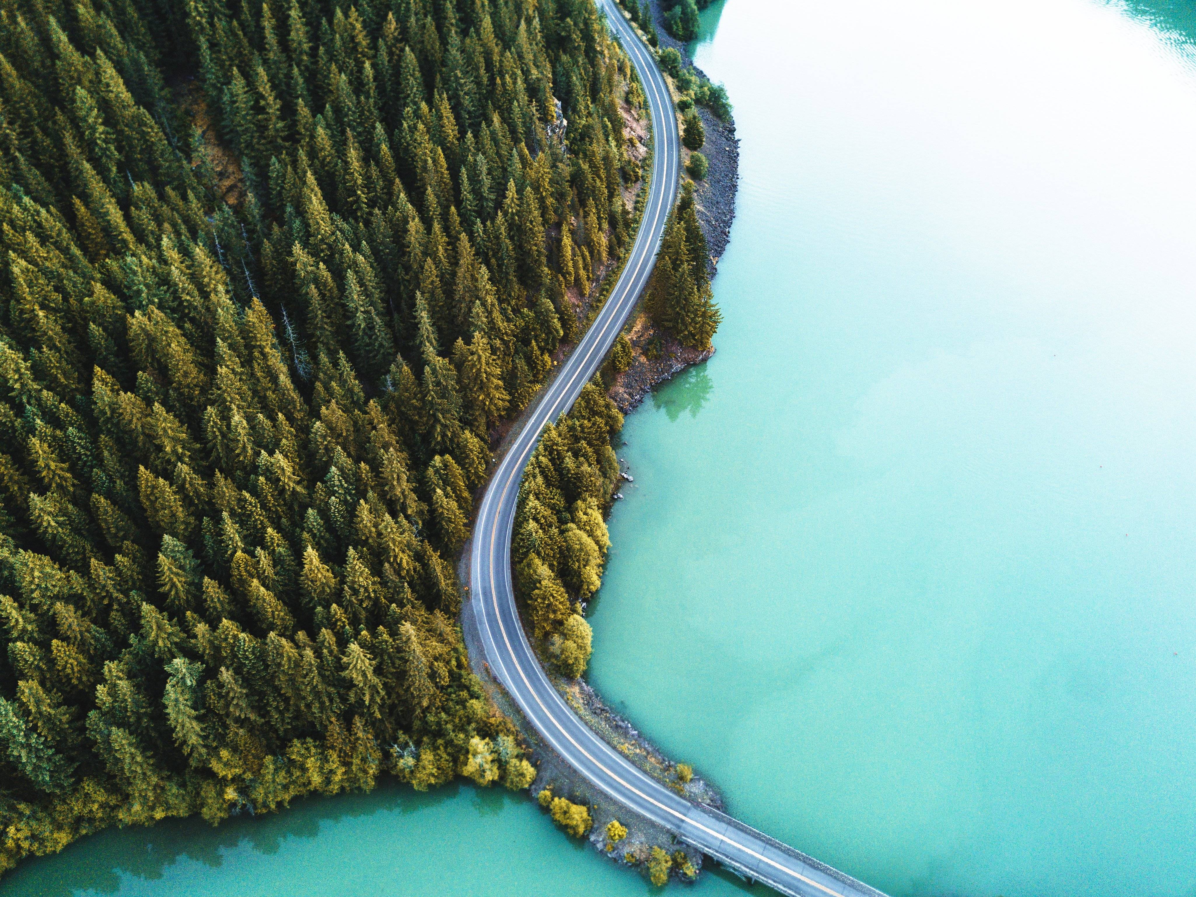 A long road winds over blue water and through a forest of green pine trees.