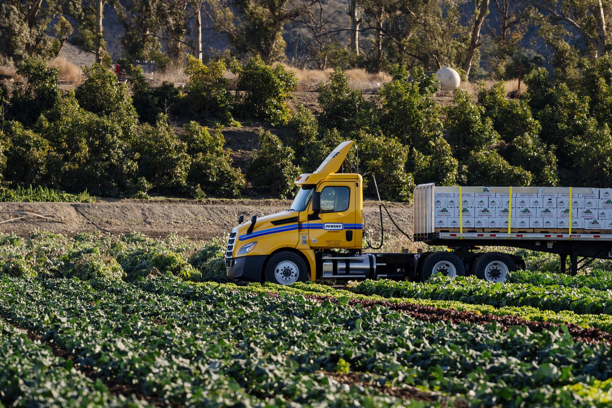 A yellow Penske semi truck in a field with cargo secured to the trailer.