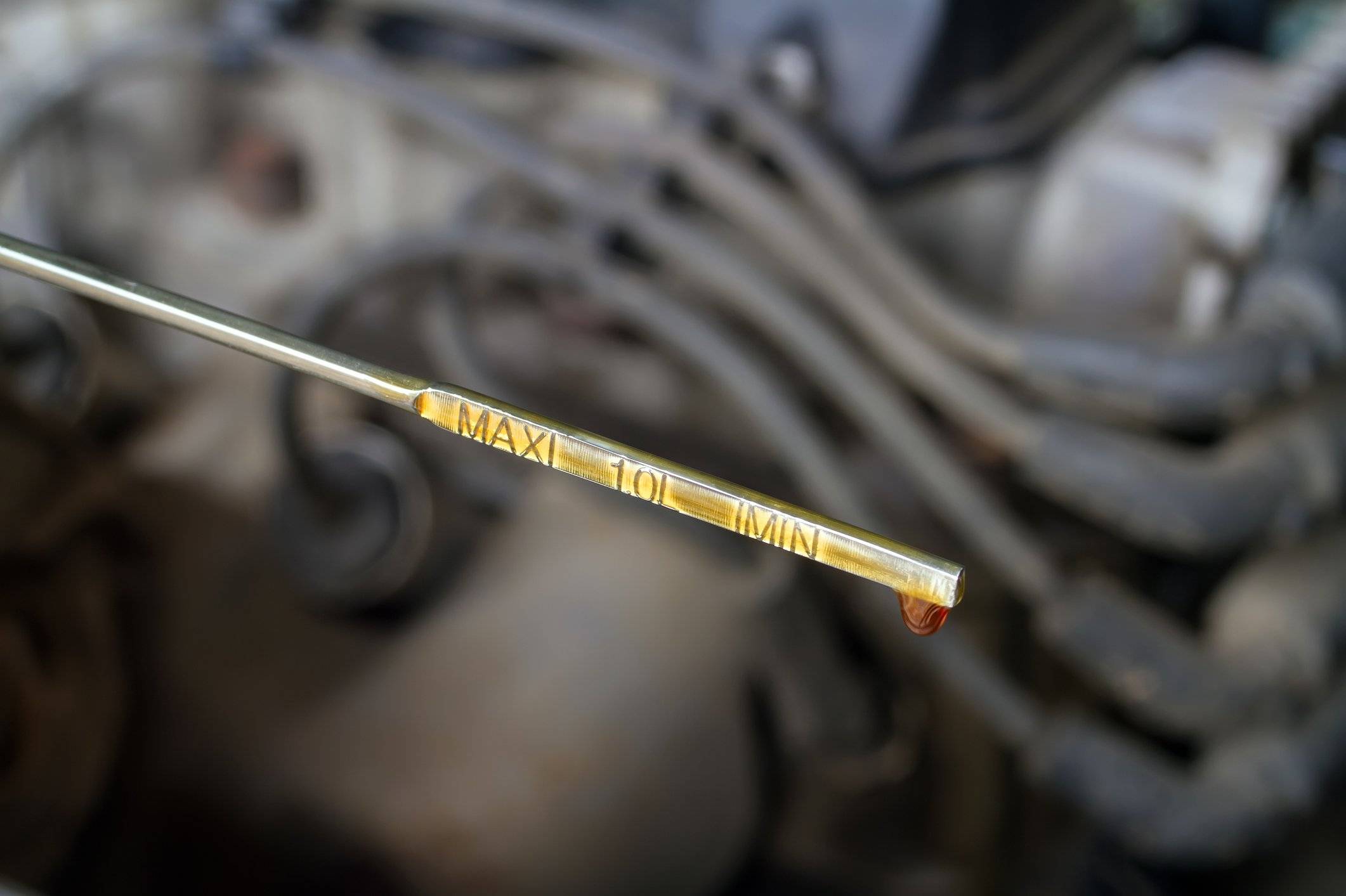 closeup of the end of an oil dipstick with oil dripping at the end.