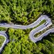 road through forest