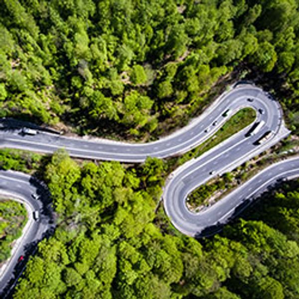 road through forest
