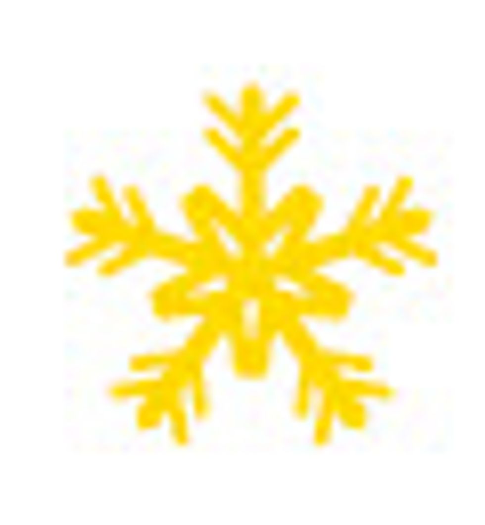 Snowflake Icon