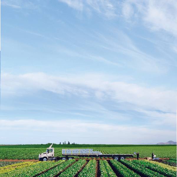 Two men load a Penske flatbed truck in a farm field.