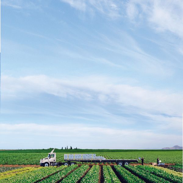 Two men load a Penske flatbed truck in a farm field.