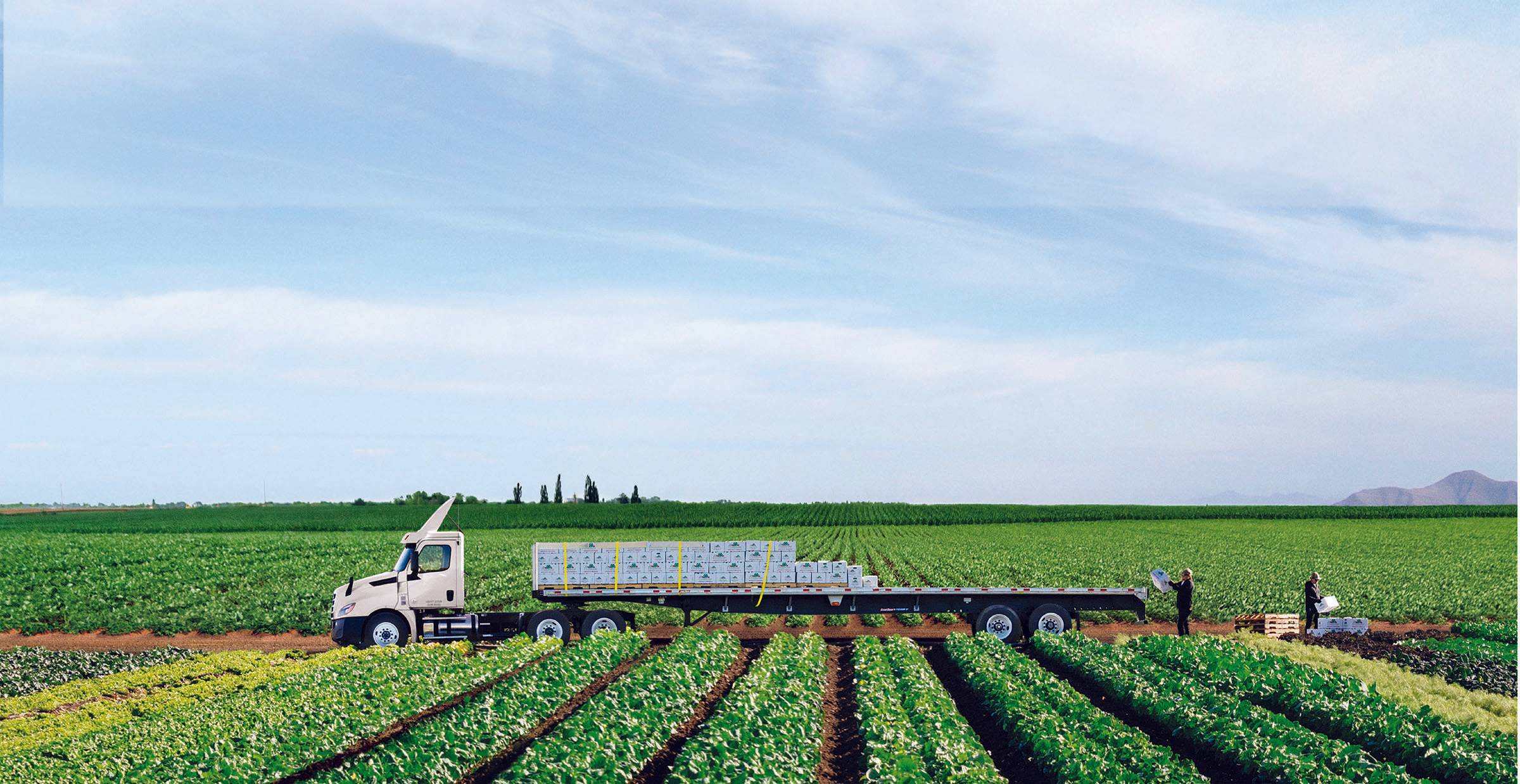 Two men load a Penske flatbed truck in a farm field.