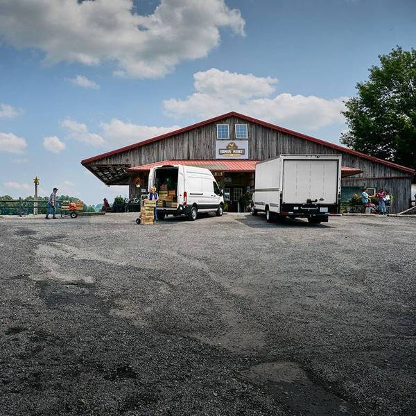 Two white trucks unload cargo outside of a farmer's market under a blue sky.